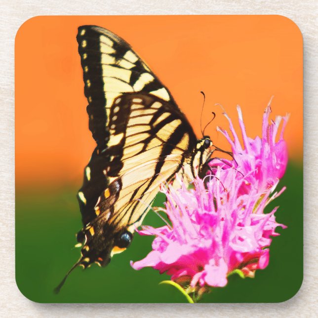 Eastern Tiger Swallowtail Butterfly Coaster (Front)