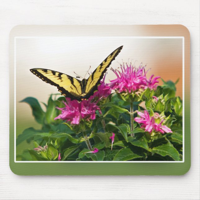 Eastern Tiger Swallowtail Butterfly Mouse Mat (Front)