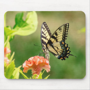 Eastern Tiger Swallowtail Butterfly Mouse Mat