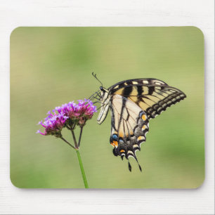 Eastern Tiger Swallowtail Butterfly Mouse Mat