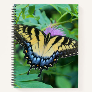 Eastern Tiger Swallowtail Butterfly Notebook