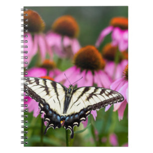 Eastern Tiger Swallowtail Butterfly On Coneflowers Notebook