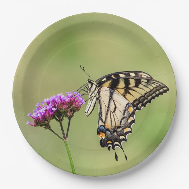 Eastern Tiger Swallowtail Butterfly Paper Plate (Front)