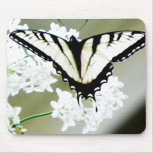 Eastern Tiger Swallowtail Butterfly Photo Mouse Mat