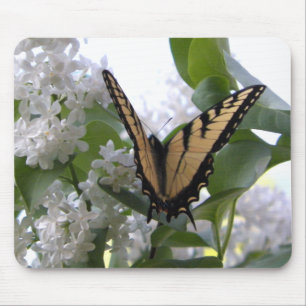 Eastern Tiger Swallowtail Butterfly Photo Mouse Mat