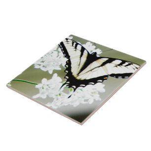 Eastern Tiger Swallowtail Butterfly Photo Tile