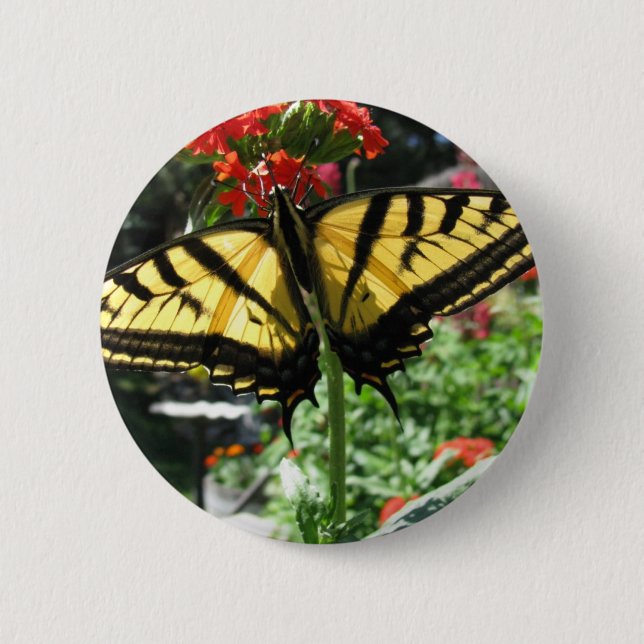 Eastern Tiger Swallowtail Butterfly Pin (Front)
