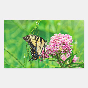 Eastern Tiger Swallowtail Butterfly Rectangular Sticker