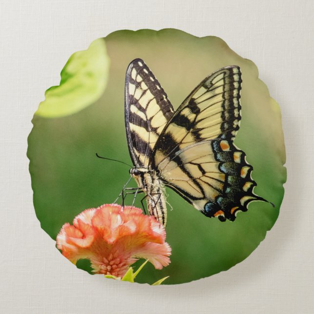 Eastern Tiger Swallowtail Butterfly Round Cushion (Front)