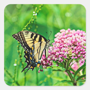 Eastern Tiger Swallowtail Butterfly Square Sticker