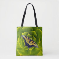 Eastern tiger swallowtail butterfly