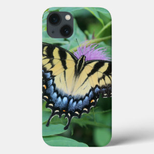 Eastern Tiger Swallowtail iPhone Cases