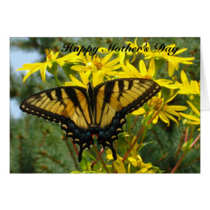 Eastern Tiger Swallowtail Mother's Day #2