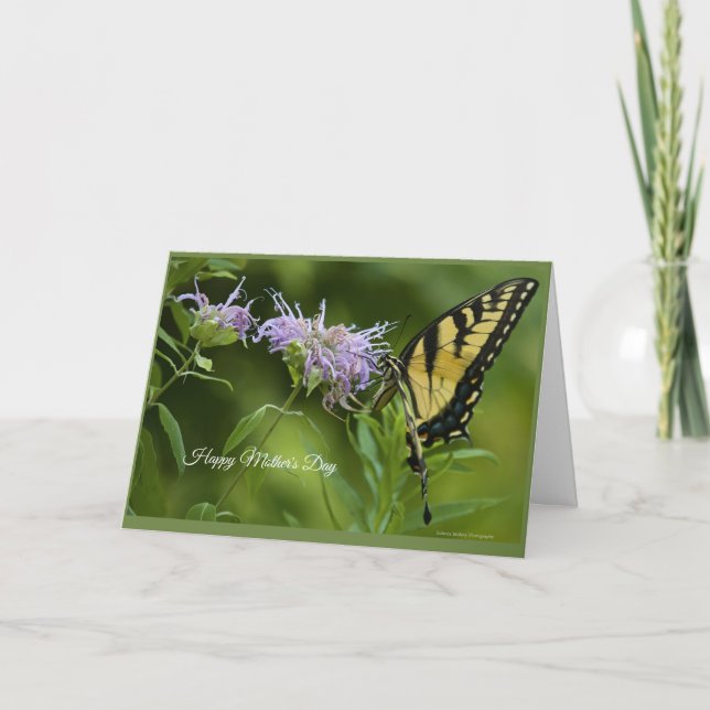 Eastern Tiger Swallowtail Mother's Day Card (Front)