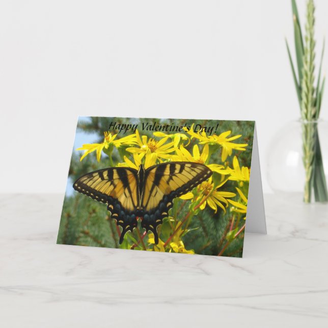 Eastern Tiger Swallowtail Valentine's Day Holiday Card (Front)
