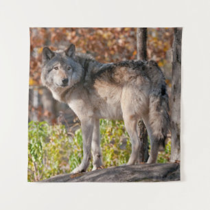 Eastern Timber Wolf Tapestry