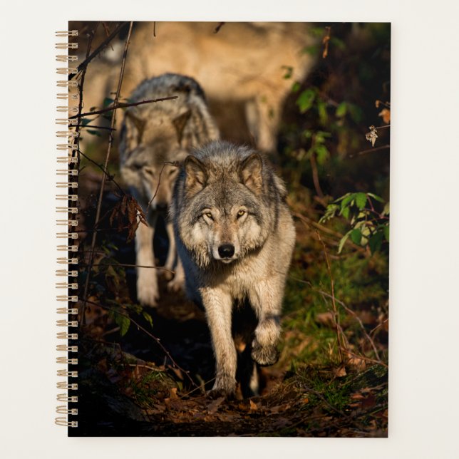 Eastern Timber Wolves Planner (Front)