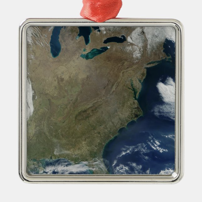 Eastern United States Metal Tree Decoration (Front)