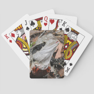 Eastern Water Dragon Playing Cards