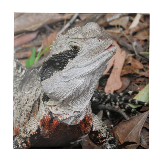 Eastern Water Dragon Tile (Front)