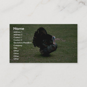 Eastern Wild Turkey Business Card