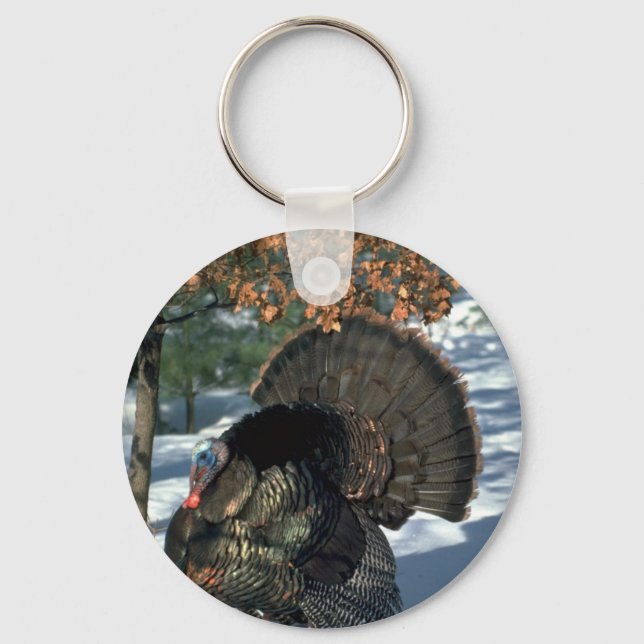Eastern wild turkey, huge gobbler in full strut key ring (Front)