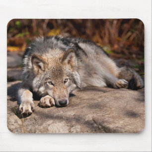 Eastern Wolf Mouse Mat
