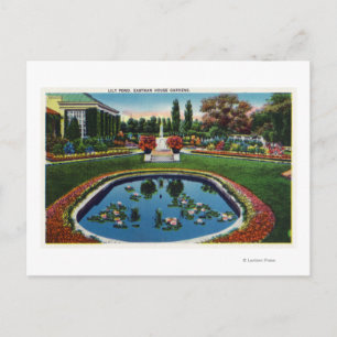 Eastman House Gardens Lily Pond Postcard