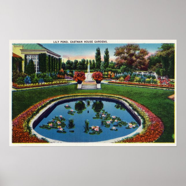 Eastman House Gardens Lily Pond Poster (Front)