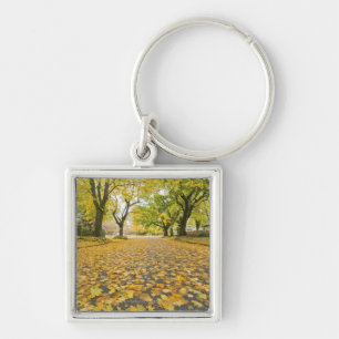 Eastmoreland In Autumn road and tree view Key Ring