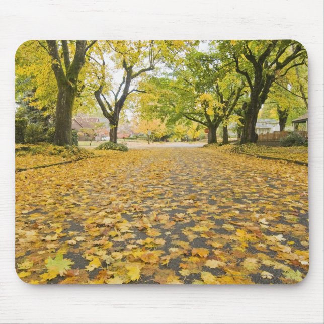 Eastmoreland In Autumn road and tree view Mouse Mat (Front)