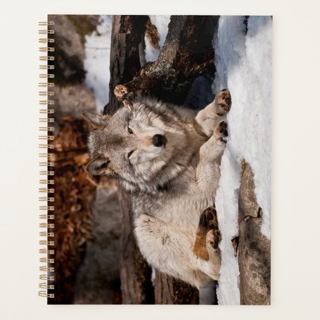 Easttern Gray Wolf Planner (Front)