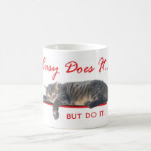 easy does it cat