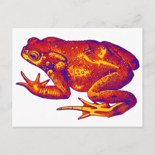 EASY DOES IT POSTCARD