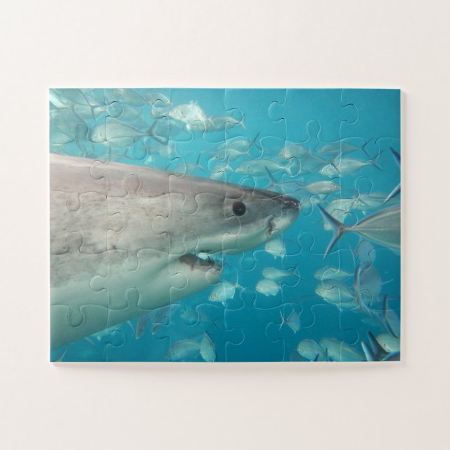 Easy Fun Blue Kids Shark Jigsaw Puzzle (Horizontal)