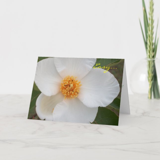 Easy Is Card (Front)