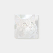 Easy Make Your Own Faded Pet Photo Post It Notes