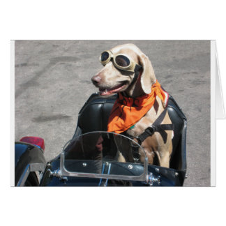 Easy rider