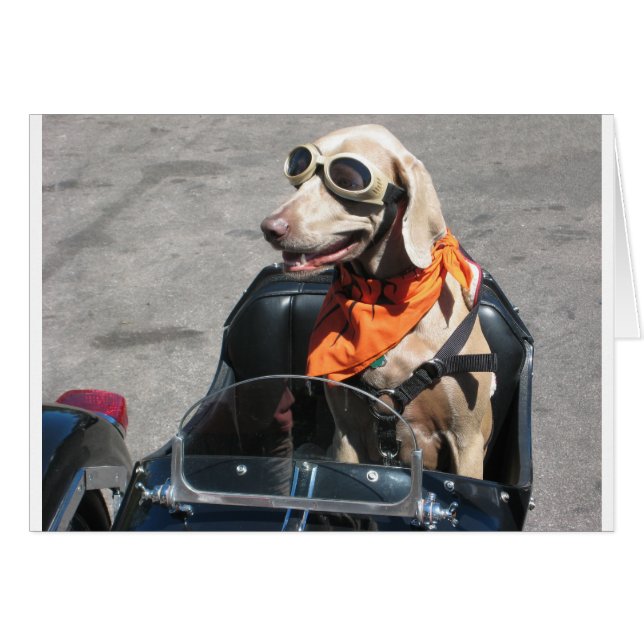 Easy rider (Front Horizontal)