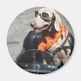 Easy rider magnet