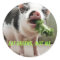 Eat greens, not me.
