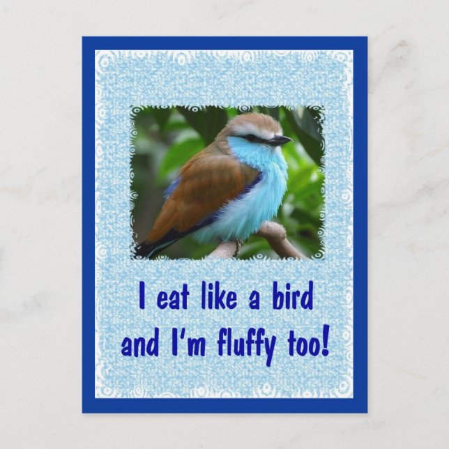 Eat Like a Bird 2 Postcard (Front)