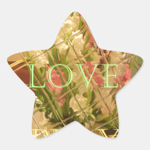 Eat Love Play Flowers for all beautiful seasonal o Star Sticker