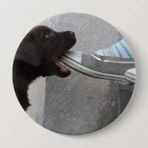 Eat My Shoe! Labrador Puppy 10 Cm Round Badge