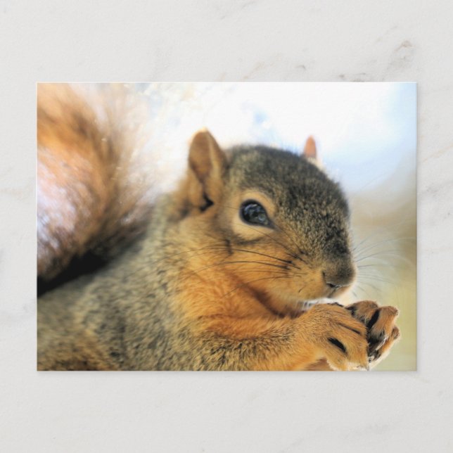 Eat Postcard (Front)