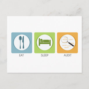 Eat Sleep Audit! Postcard