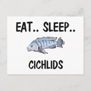 Eat Sleep CICHLIDS Postcard