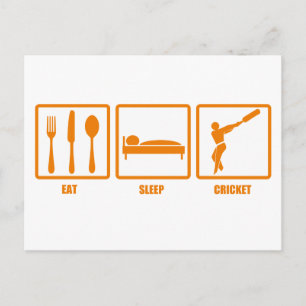 Eat Sleep Cricket Postcard