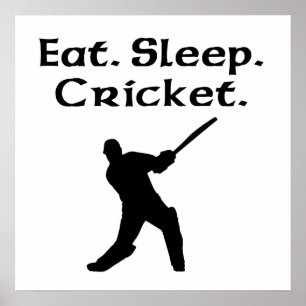 Eat Sleep Cricket Poster