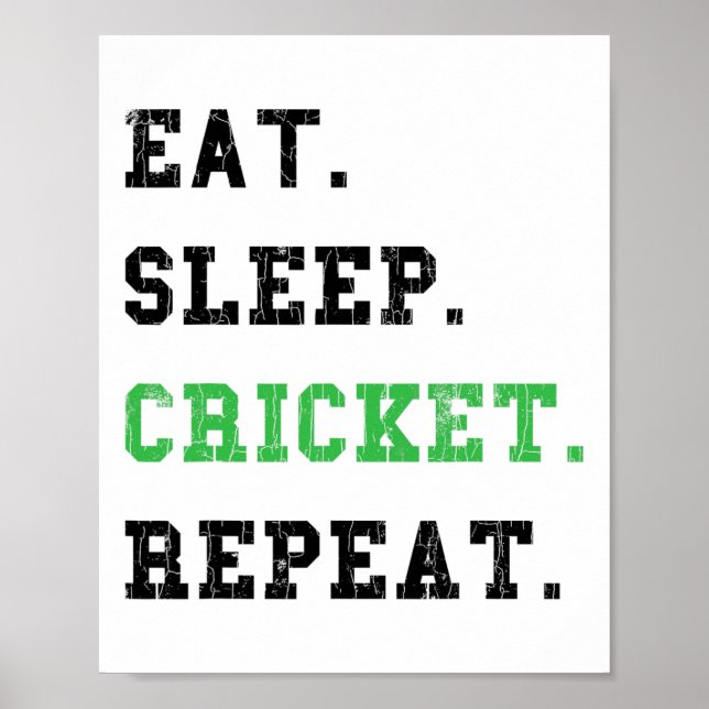 Eat Sleep Cricket Repeat Funny Graphic For Player  Poster (Front)